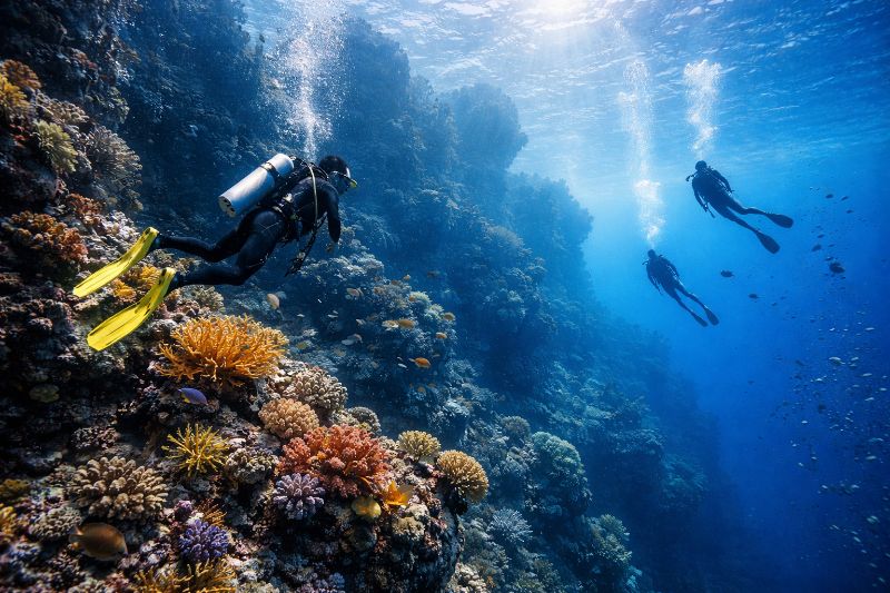 Top 10 Diving Destinations in the World